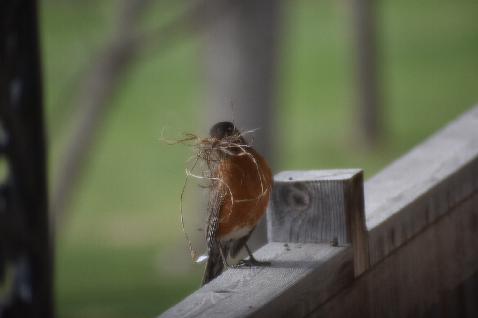 Just a little something...